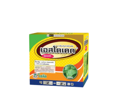 เอสโตเคดโซตัส100G*10
