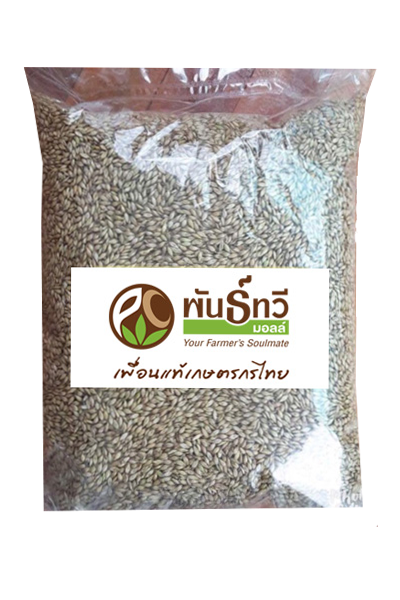 รูซี่1KG*25