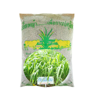 กินนี1KG*20