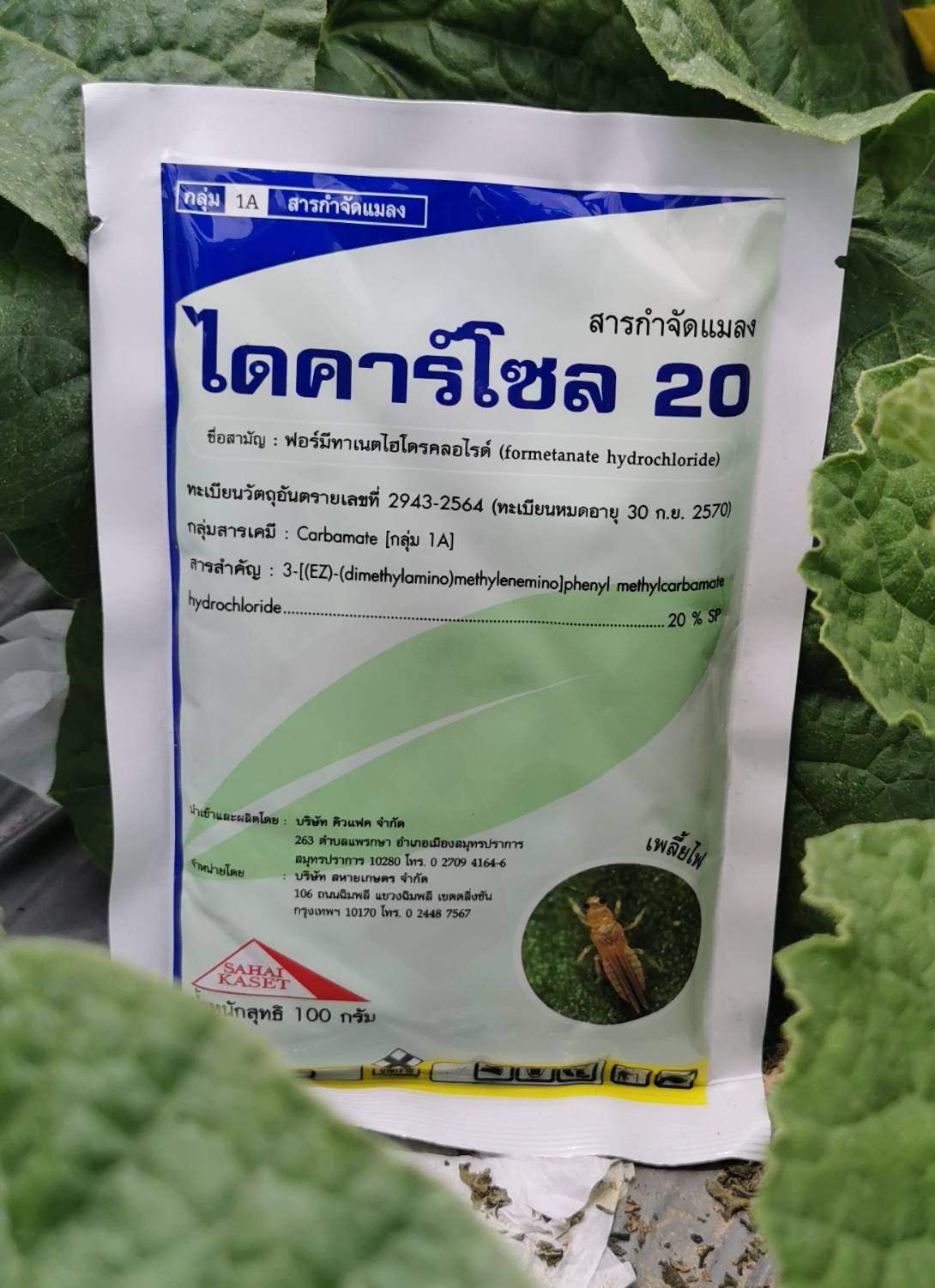 ไดคาร์โซล20 100G*100