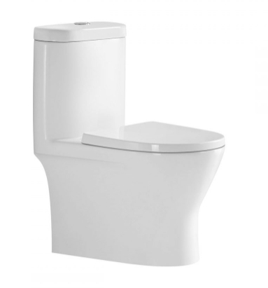 สุขภัณฑ์ชิ้นเดียว กดบนRASLAND AQ PR-96789*3