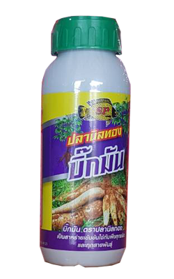 บิ๊กมันปลานิลทอง500CC*24