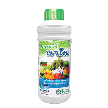 เกอมาร์นาโน1L*12