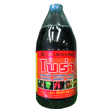 โบร่า1L*12