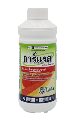 การ์แรตโซตัส1L*12