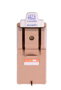 คัทเอาท์2Pช้าง60A*24