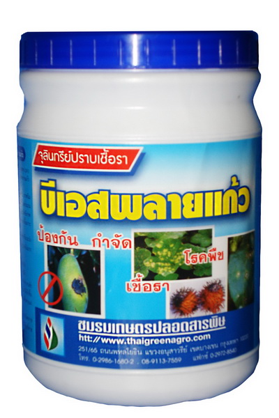 บีเอสพลายแก้ว500G*24