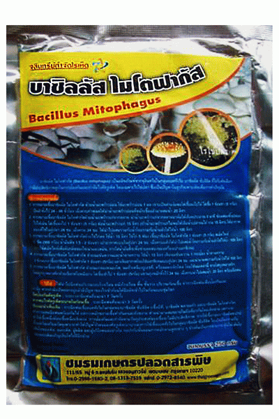 บาซิลลัสไมโตฟากัส 250G*24