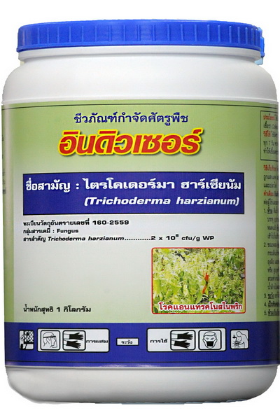 อินดิวเซอร์ 1KG*12