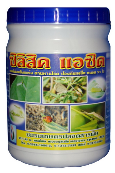 ซิลิสิค แอซิด500CC*12