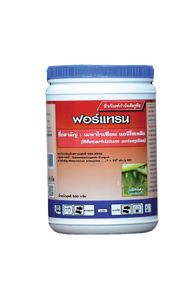 ฟอร์แทรน500G*24