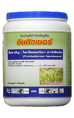 อินดิวเซอร์500G*24