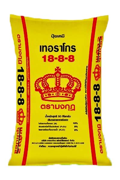 18-8-8มงกุฎ