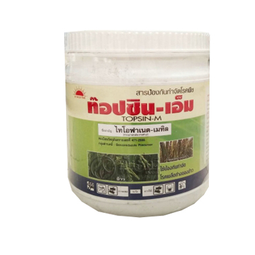 ท๊อปซิน-เอ็มพระอาทิตย์500G*24