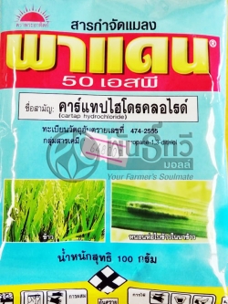 พาแดน50%SPพระอาทิตย์100G*100