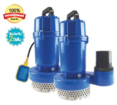 ป.จุ่มRADISON  3"RDW300 