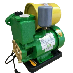 ป.ออโต WASABI 438A