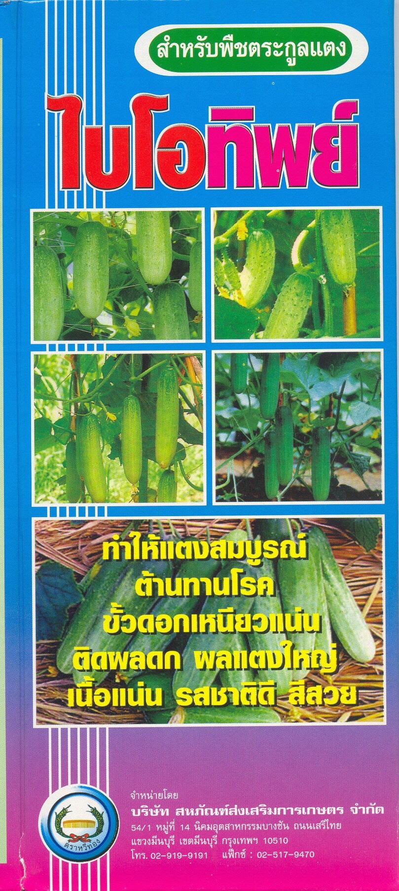 ไบโอทิพย์หวีทอง500CC*12