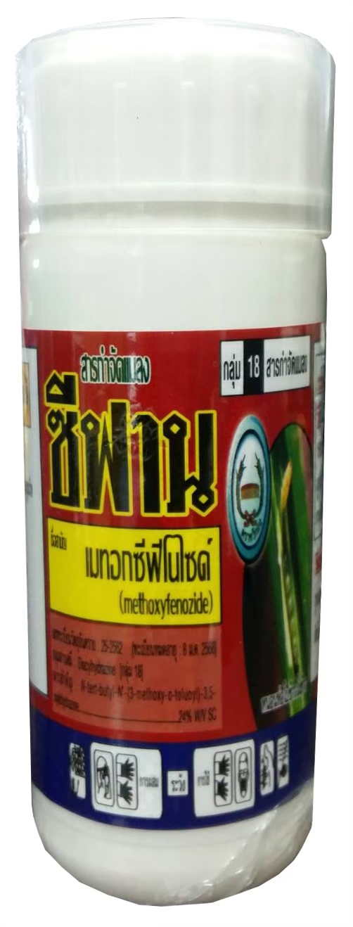 ซีฟานหวีทอง100CC*40