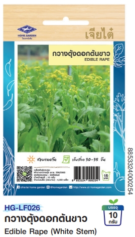 กวางตุ้งดอกต้นขาวOPเจียไต๋*250F