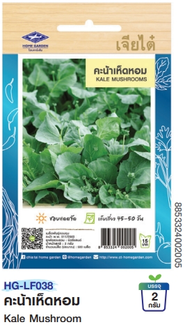  คะน้าเห็ดหอมOPเจียไต๋*250