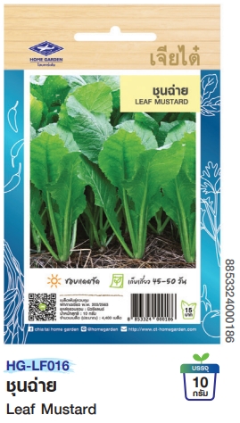 เขียวปลีชุนฉ่ายOPเจียไต๋*250F