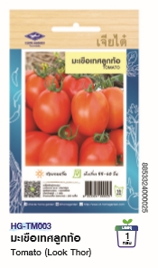  มะเขือเทศลูกท้อOPเจียไต๋*250F