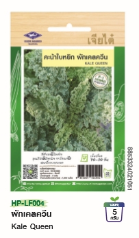 คะน้าใบหยิกผักเคลควีนF1เจียไต๋*100