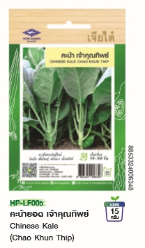 คะน้าเจ้าคุณทิพย์F1เจียไต๋*100