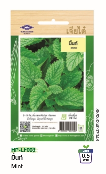 มินท์ F1เจียไต๋*100