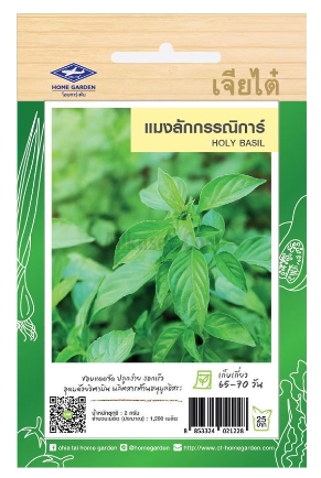 แมงลักกรรณิการ์ F1เจียไต๋*100