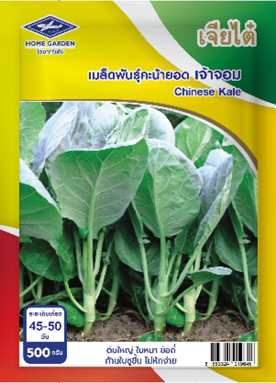 คะน้ายอดเจ้าจอมเจียไต๋500G*24