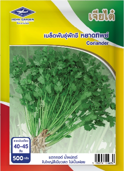 ผักชีหยาดทิพย์เจียไต๋500G*20