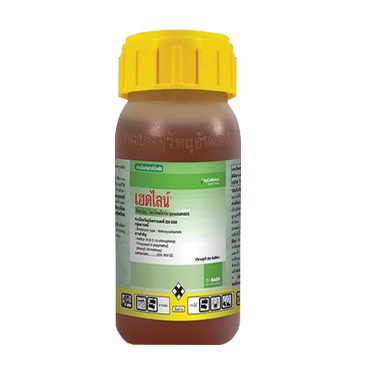 เฮดไลน์ 250CC*24