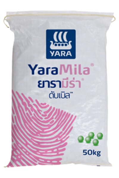 8-24-24 YARA