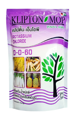 0-0-60คลิปตั้น-เอ็มโอพี 1KG*30