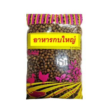 1/KGกบใหญ่