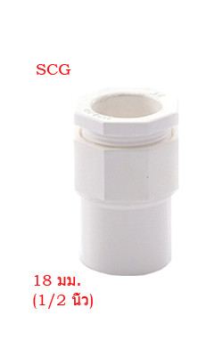 (ลังX150)ข้อต่อเข้ากล่องร้อยสายขาว SCG1/2"(18MM)