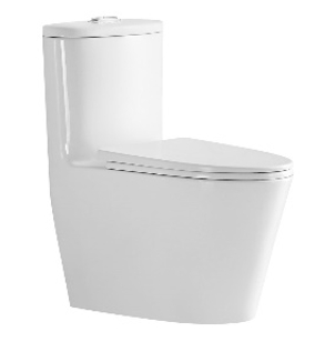 สุขภัณฑ์ชิ้นเดียว กดบนRASLAND AQ PR-91789-UF สูง*3