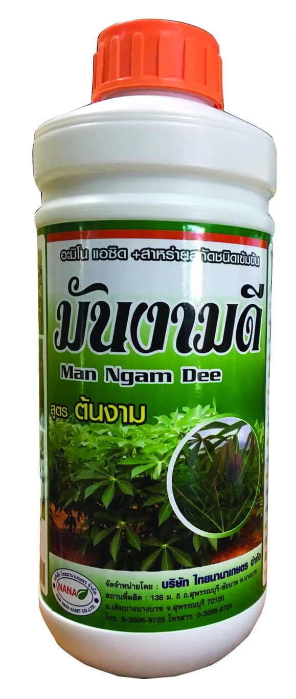 มันงามดี ต้นงาม 1L*12