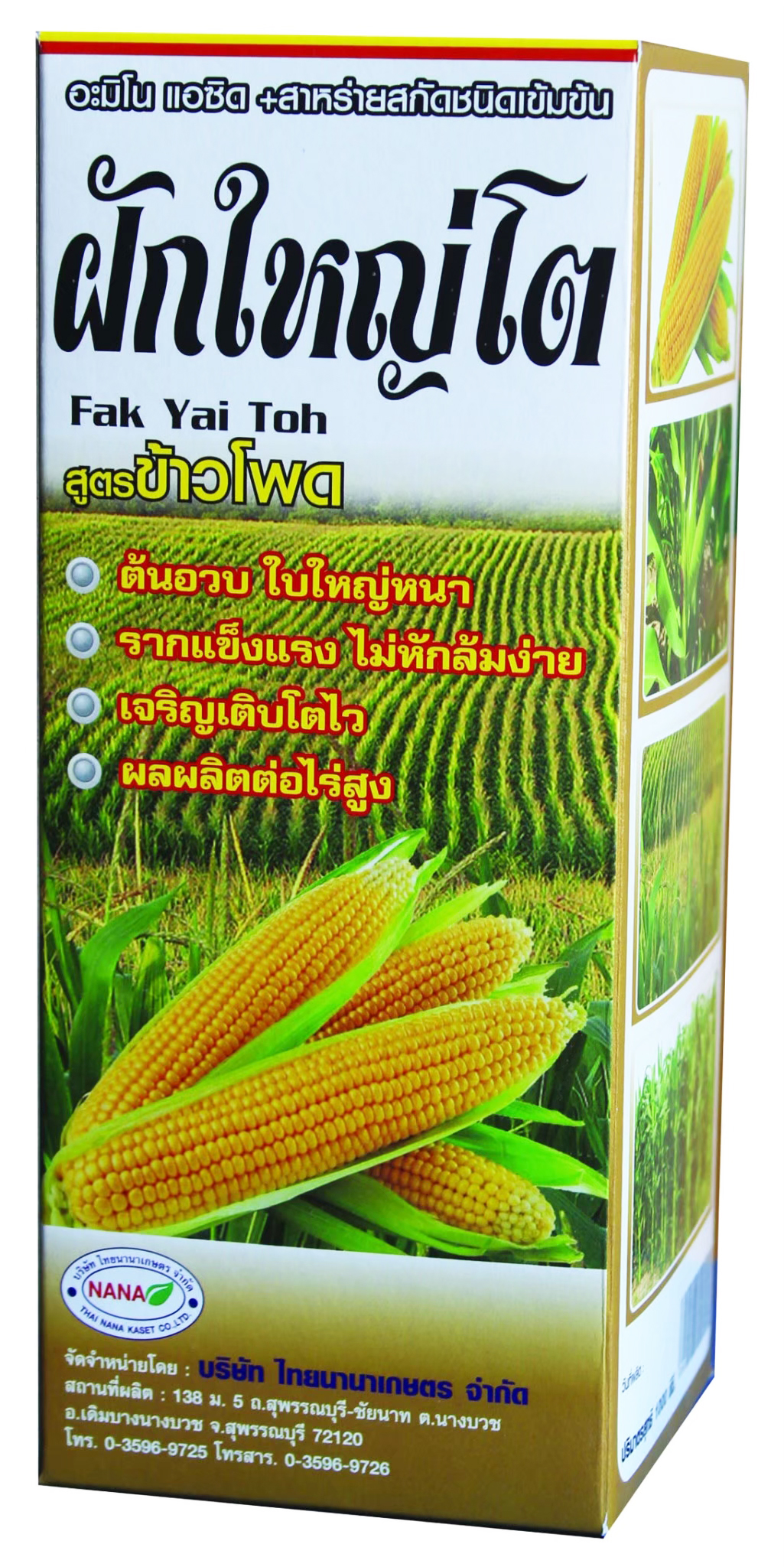 ฝักใหญ่โต1L*12