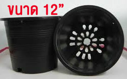 กถ.ดำ12"