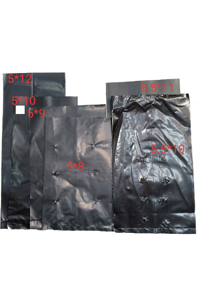 ถุงเพาะชำ 5.5X10"500G