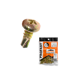 (50ตัว)สกรูยึดแปสำเร็จรูปPF 10X13" PAN