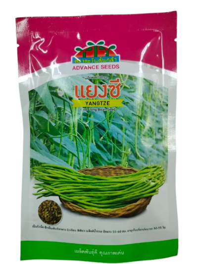 แยงซีถั่วฝักยาวAV100G