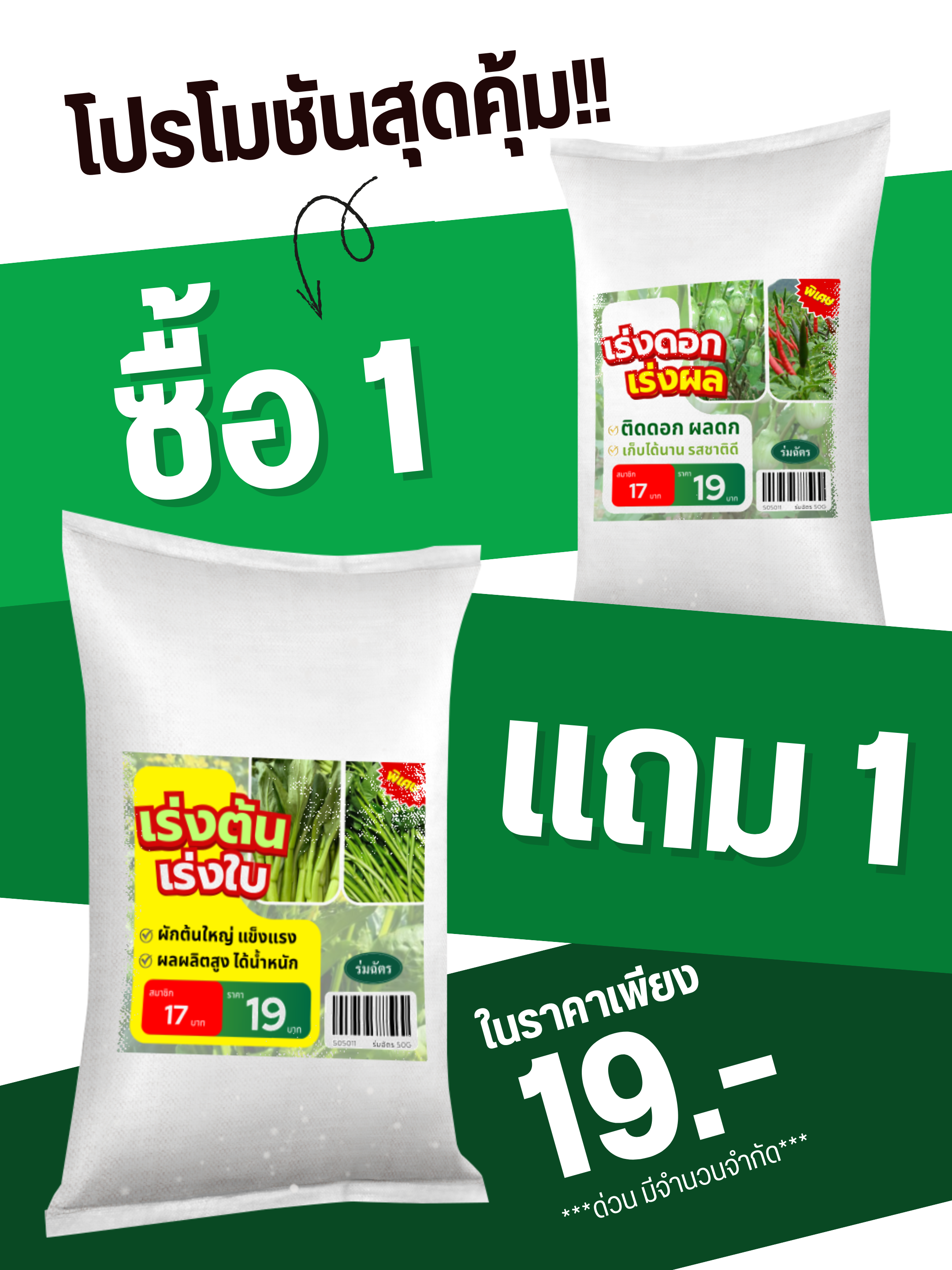 ร่มฉัตร1+1