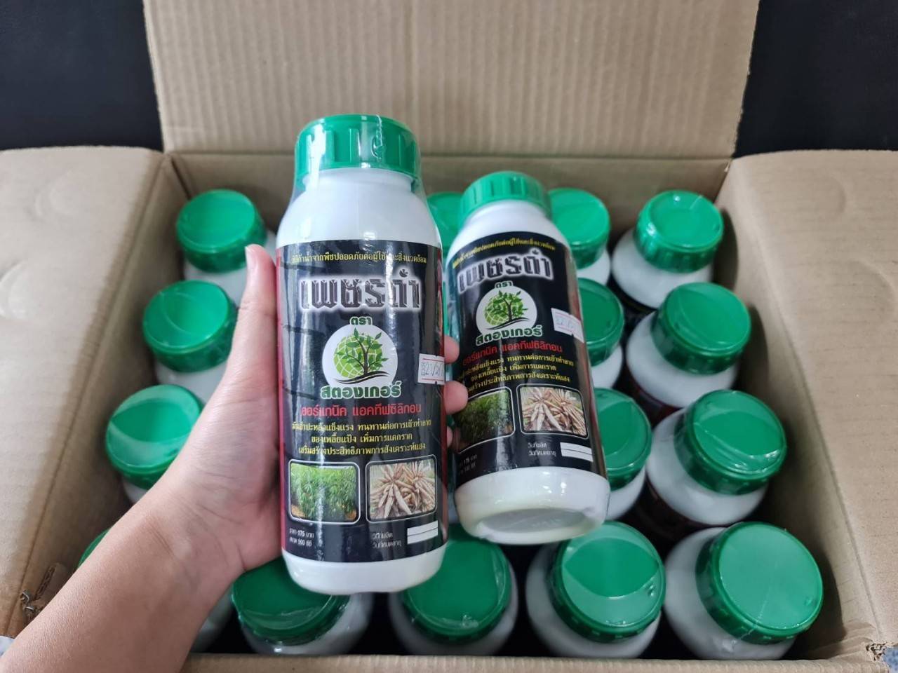 เพชรดำ500CC*20