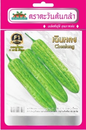 มะระจีนเฉินหลงF1AV