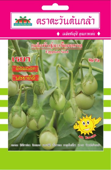 มะเขือตอแหลเรยาAV(V64)