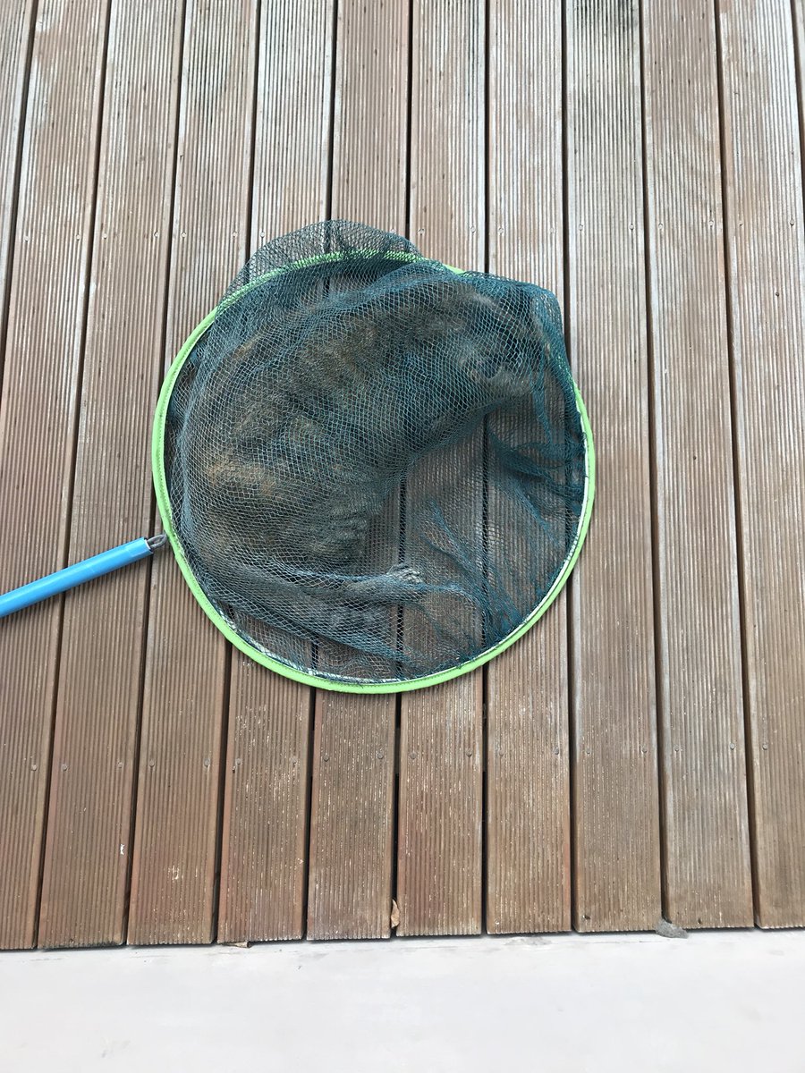 กระชอนตักสัตว์น้ำเนื้อแข็ง*50